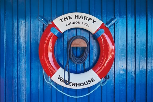 Harpij-reddingsgordels: er zijn er 9 aan boord - we hopen dat je ze niet nodig hebt!