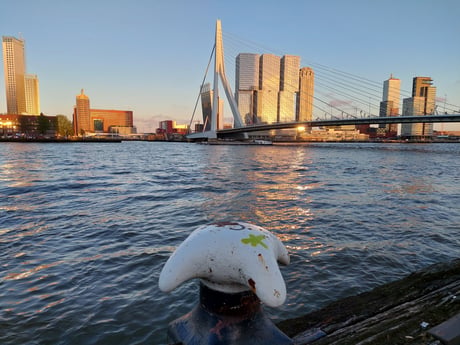 Nieuwe Maas