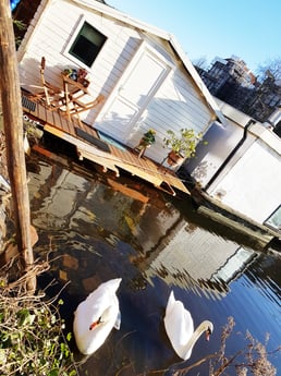 Casa flotante 505 Amsterdam foto 9