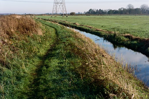Neighborhood, Amsterdam Wetlands