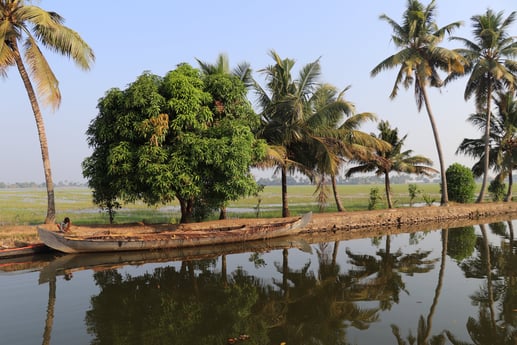 Casa flotante 915 Alappuzha foto 15