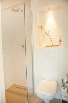 La douche à effet pluie et les toilettes. Salle B