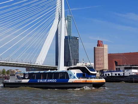 Erasmusbrug met waterbus