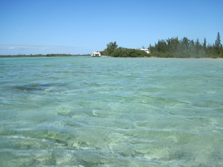 ubicado en las marismas