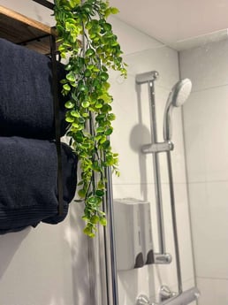 Shower 2