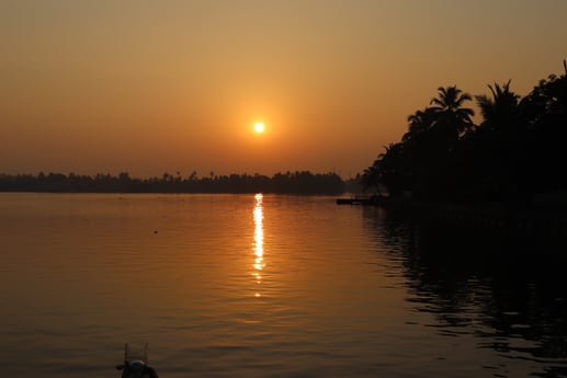 Bateau-maison 915 Alappuzha photo 8