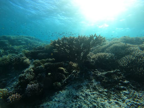 Woonboot 1089 Sharm-el-Sheikh foto 45