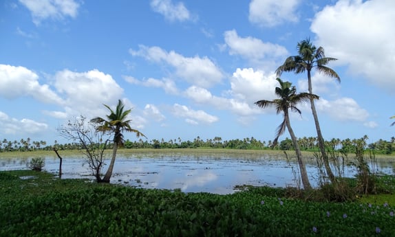 Backwater village scene.