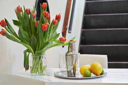 Appartement 01: TULP VIP