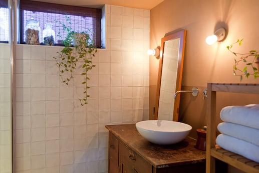 Extra badkamer met douche en toilet