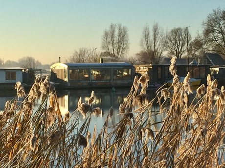 Houseboat 916 Weesp photo 19