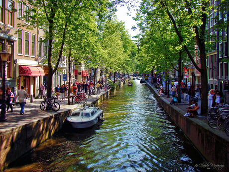 Amsterdam está a 6 horas navegando desde el puerto.