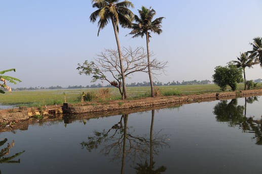 Woonboot 915 Alappuzha foto 12