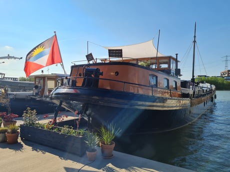 Terras en la cubierta