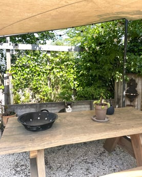 Picnic area