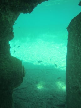 Fantastic snorkelling