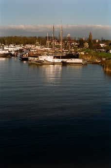 Neighborhood