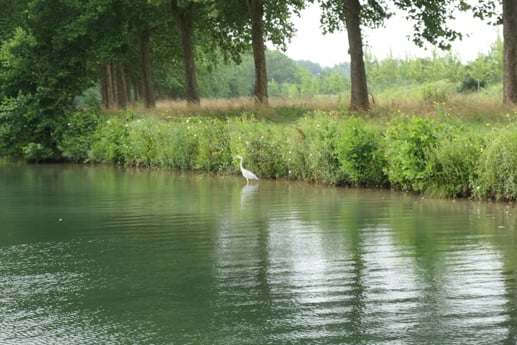 Houseboat 1153 Niort photo 12