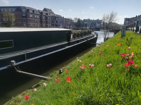 Houseboat 906 Gent photo 0