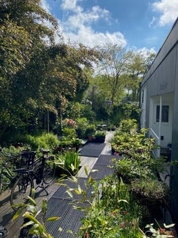 Vue sur le jardin depuis la petite terrasse