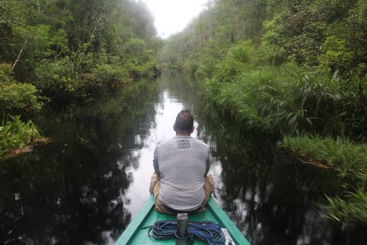 black river sekonyer