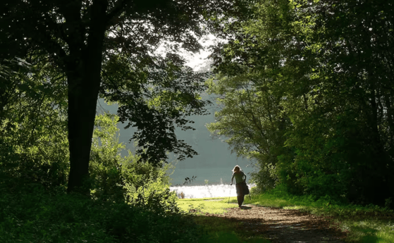 The large Amsterdam forest is a 15-minute walk from the marina.