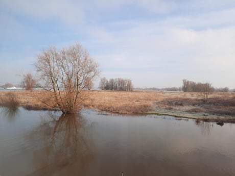 Marée haute. Toute la terre que vous voyez ici disparaîtra d’ici quelques jours, transformant la rivière en un très grand lac.