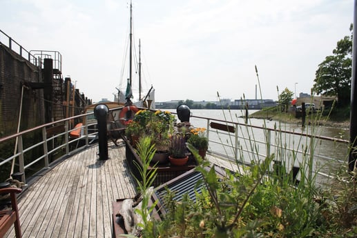 View from deck terrace