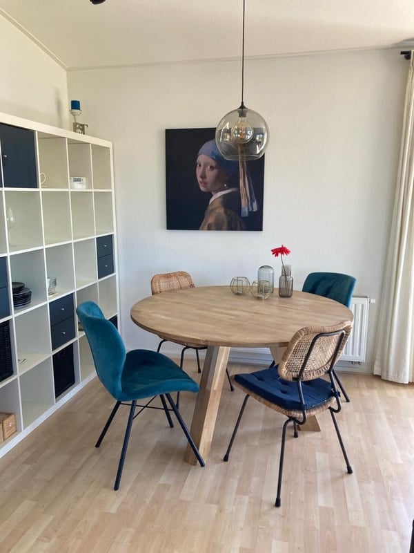 Houseboat Wartena: Plak tûzen en ien