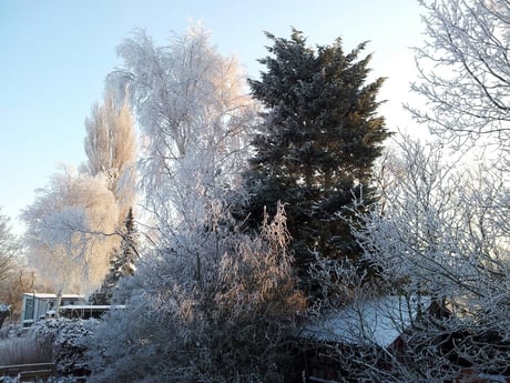 L'hiver