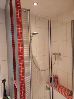 Shower with two swinging doors in the bathroom.