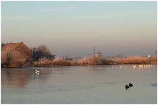 Winterblick von der Terrasse
