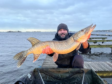 Esta es una de las fotos en las que nuestros huéspedes reservaron unas vacaciones de pesca con nosotros y pescaron un hermoso pez en Loosdrechtse Plassen con nosotros, con un barco de pesca a nuestro lado.