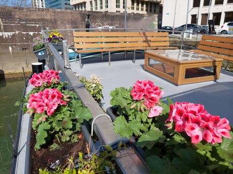 Dakterras