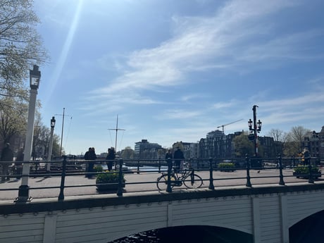 Bridge view from the terrace