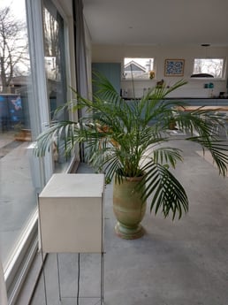 Houseboat 776 Amsterdam photo 21
