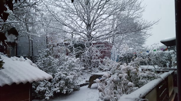 L'hiver