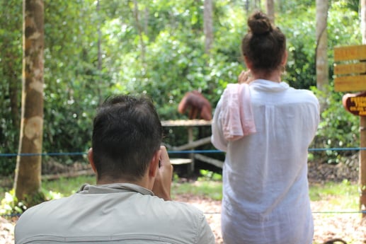 campamento de alimentación