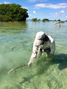 Angler sagen, es sei wie ein Kind in einem Süßwarenladen