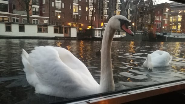 Panoramaraam in de woonkamer!