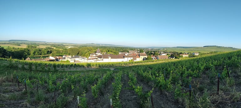 Champagne's vineyards in Ay-Champagne