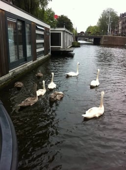 Houseboat 1108 Amsterdam photo 15