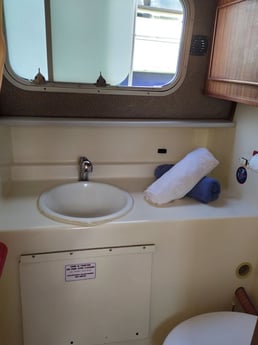 Woonboot 1095 Saint-Jean-de-Losne foto 6