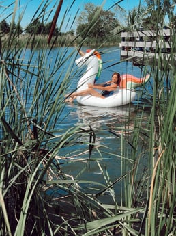 Swimming in the river