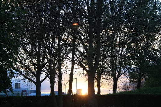 Zonsondergang op de Nieuwe Maas