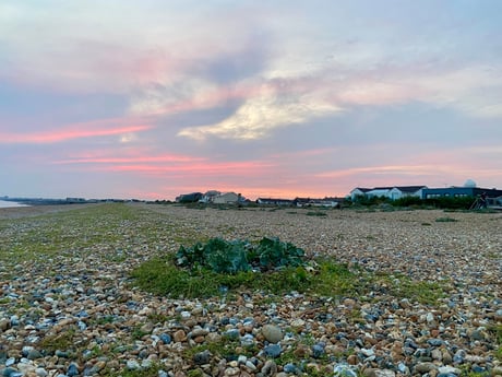 Het prachtige Shoreham Beach ligt op slechts 2 minuten afstand en is vriendelijk en veilig om te zwemmen