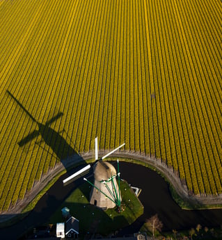 Molino de viento Keukenhof