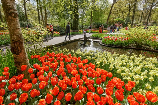 Tulipes à Keukenhof