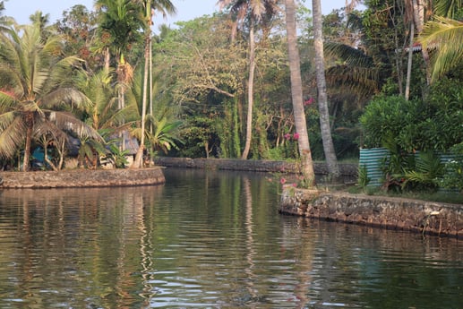 Houseboat 915 Alappuzha photo 16