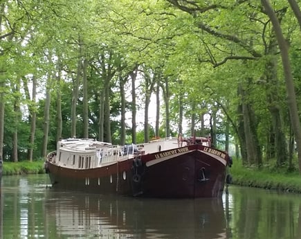  in zijn natuurlijke habitat